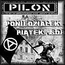 Pilon info.jpg