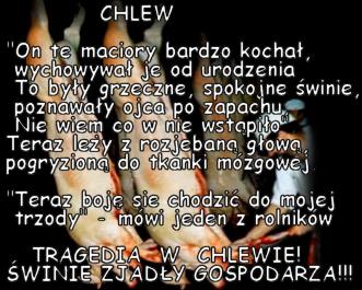 tragedia_w_chlewie